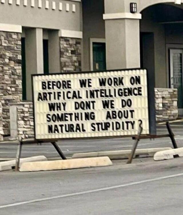 BEFORE WE WORK ON ARTIFICAL INTELLIGENCE WHY DQNT WE DO SOMETHING ABOUT NATURAL STUPIDITY?