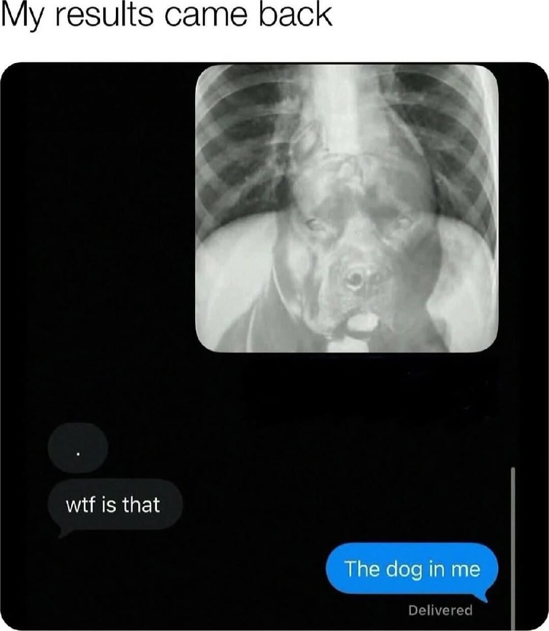 My results came back\nwtf is that\nThe dog in me\nDelivered