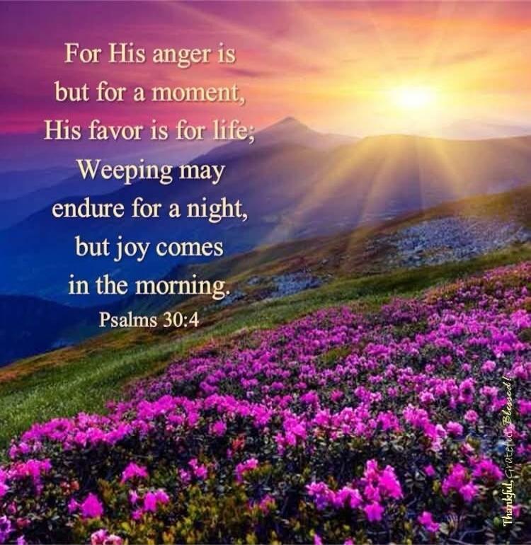 For His anger is but for a moment, His favor is for life; Weeping may endure for a night, but joy comes in the morning. Psalms 30:4. Thankful, Grateful, Blessed!