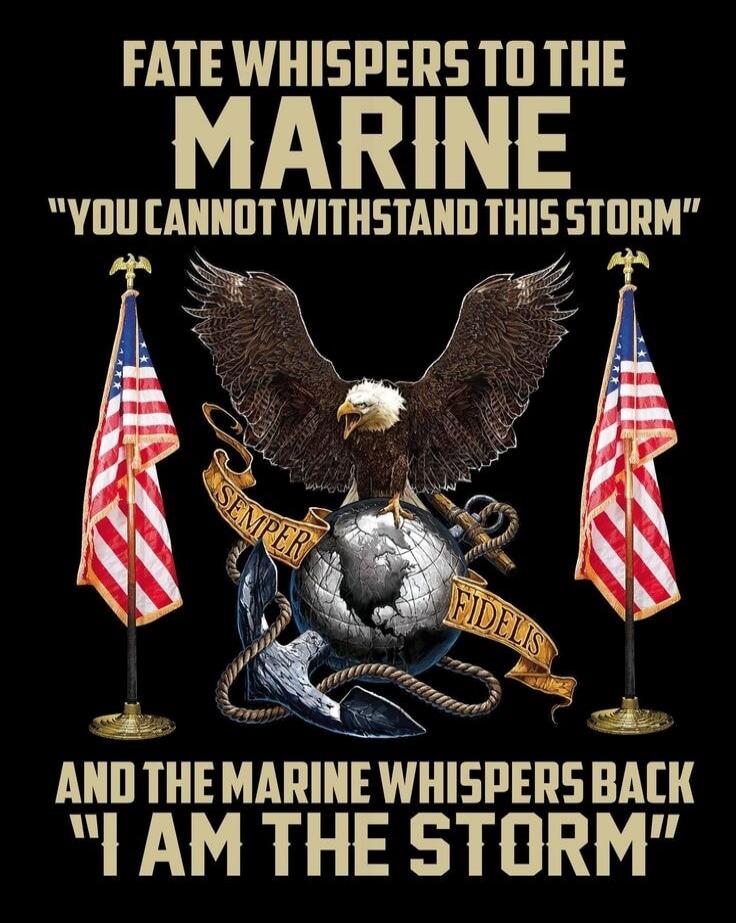 FATE WHISPERS TO THE MARINE 'YOU CANNOT WITHSTAND THIS STORM' AND THE MARINE WHISPERS BACK 'I AM THE STORM'