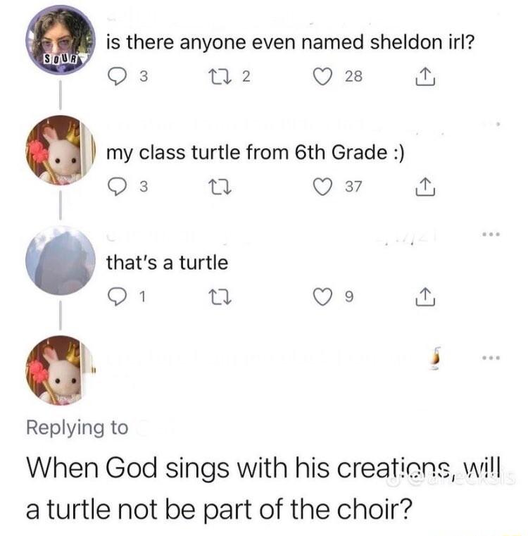 w is there anyone even named sheldon irl Qs w2 QO 28 w fu q my class turtle from 6th Grade T Q thats a turtle Q1 Q Q9 wr q Replying to When God sings with his creaticns will a turtle not be part of the choir