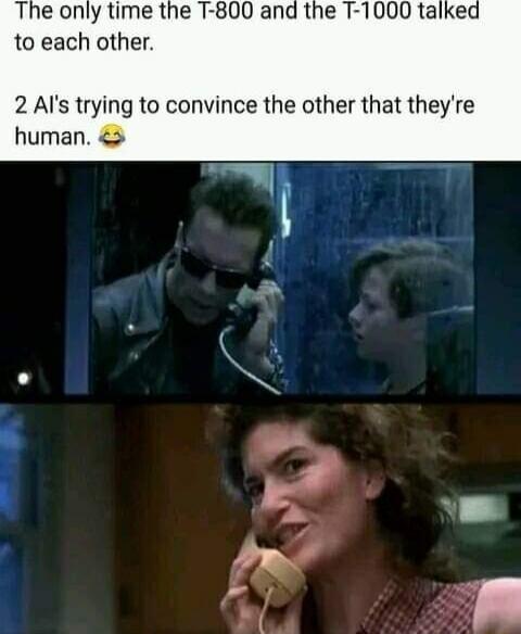 The only time the T 800 and the T 1000 talked to each other 2 Als trying to convince the other that theyre human