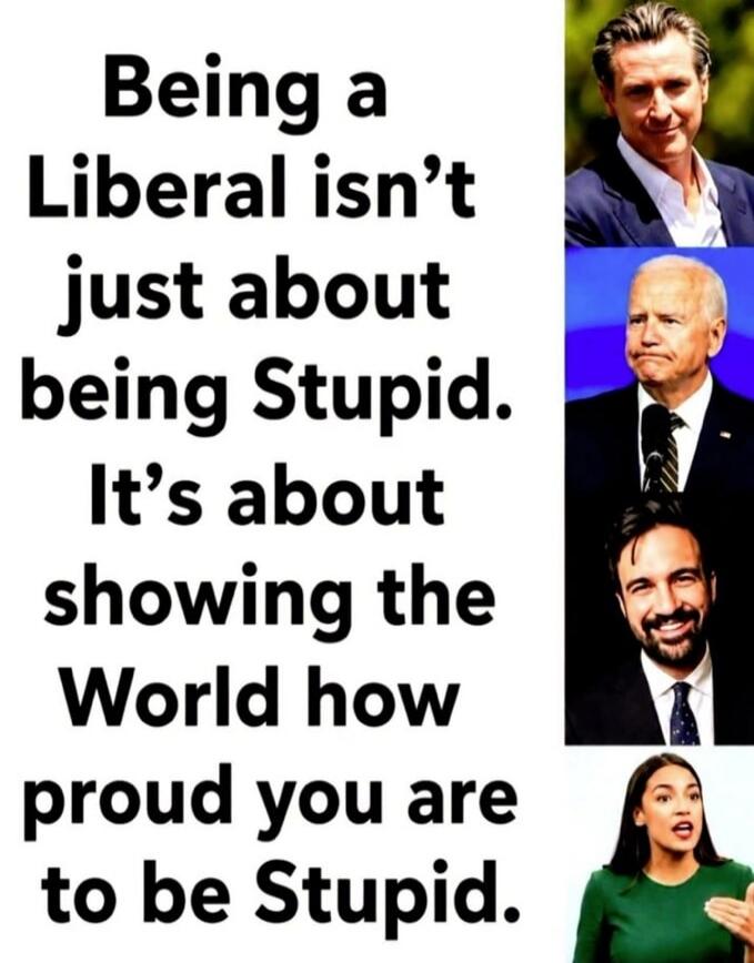Being a Liberal isn't just about being Stupid. It's about showing the World how proud you are to be Stupid.