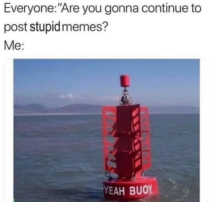 EveryoneAre you gonna continue to post stupidmemes Me H BUOX