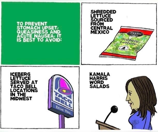 TO PREVENT STOMACH UPSET, QUEASINESS AND ACUTE NAUSEA, IT IS BEST TO AVOID: SHREDDED LETTUCE SOURCED FROM CENTRAL MEXICO. ICEBERG LETTUCE SERVED AT TACO BELL LOCATIONS IN THE MIDWEST. KAMALA HARRIS WORD SALADS.