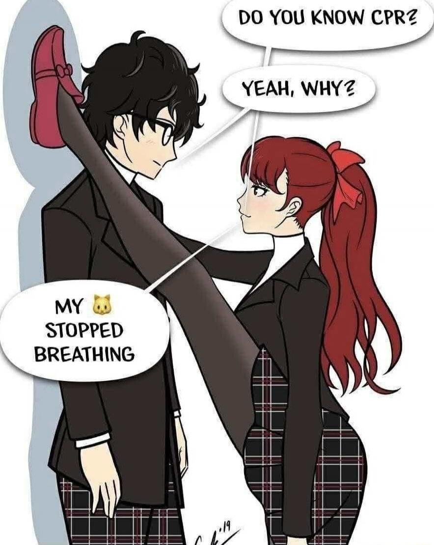 DO YOU KNOW CPR? 
Yeah, why? 
MY 🐱 STOPPED BREATHING