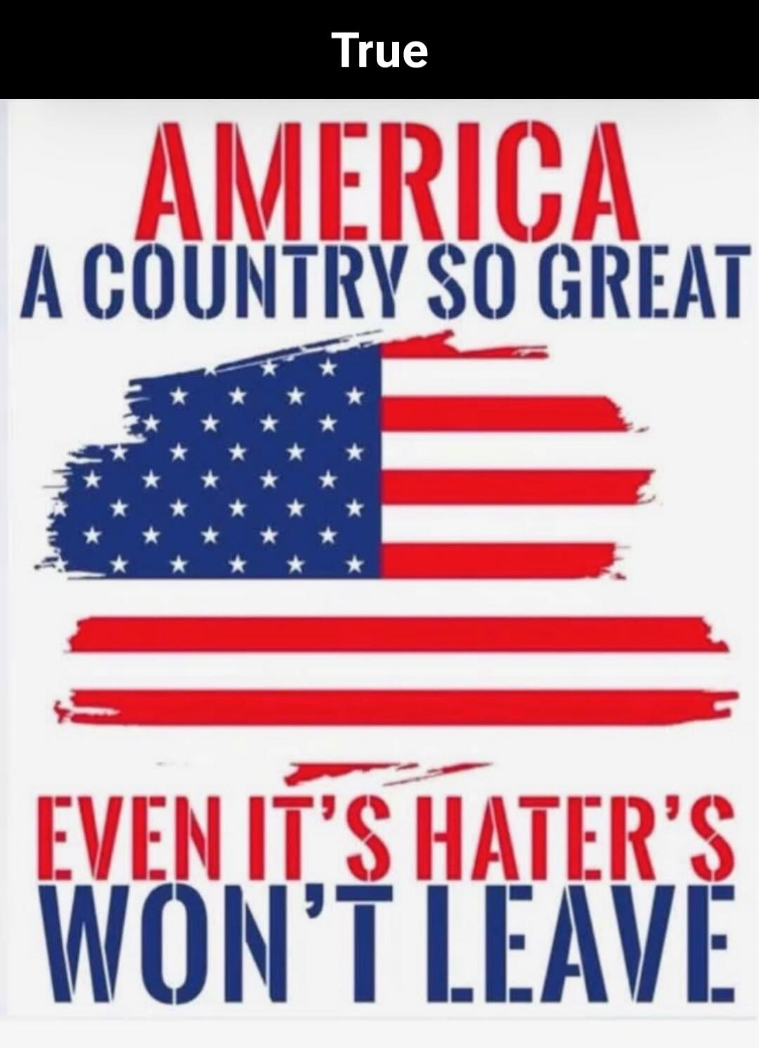 True AMERICA A COUNTRY SO GREAT EVEN ITS HATERS WON'T LEAVE