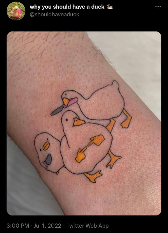 why you should have a duck i