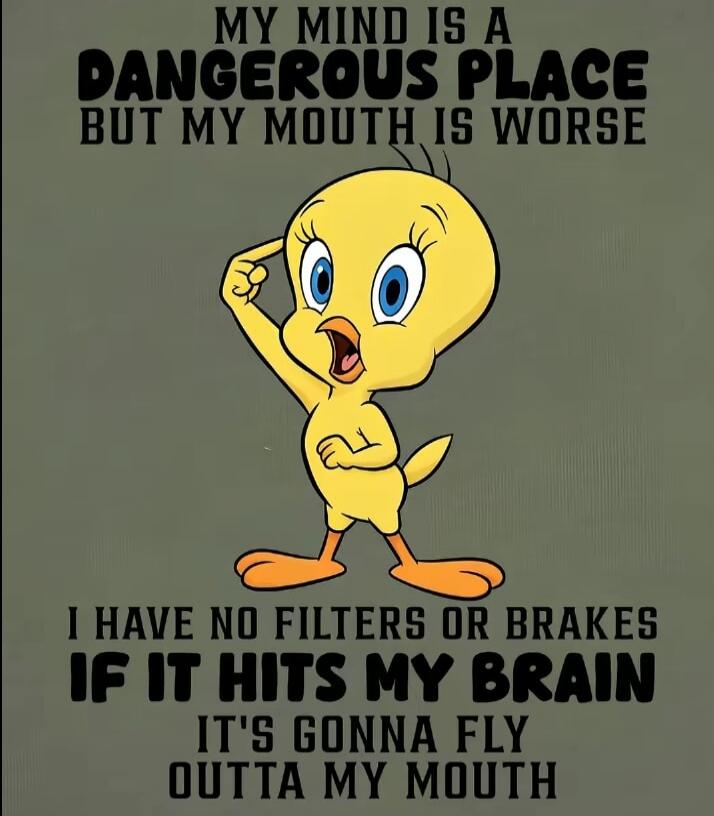 MY MIND IS A DANGEROUS PLACE BUT MY MOUTH IS WORSE I HAVE NO FILTERS OR BRAKES IF IT HITS MY BRAIN IT'S GONNA FLY OUTTA MY MOUTH