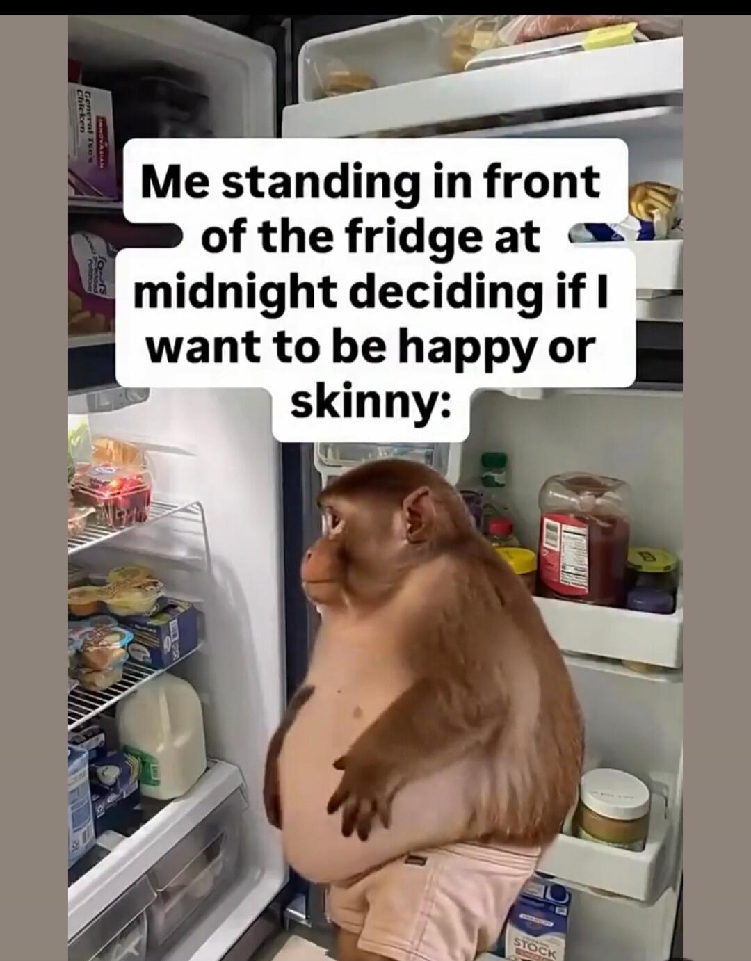 Me standing in front of the fridge at midnight deciding if I want to be happy or skinny: