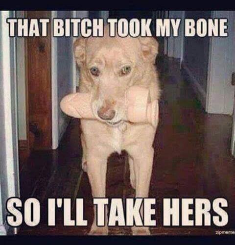 THAT BITCH TOOK MY BONE SO I'LL TAKE HERS