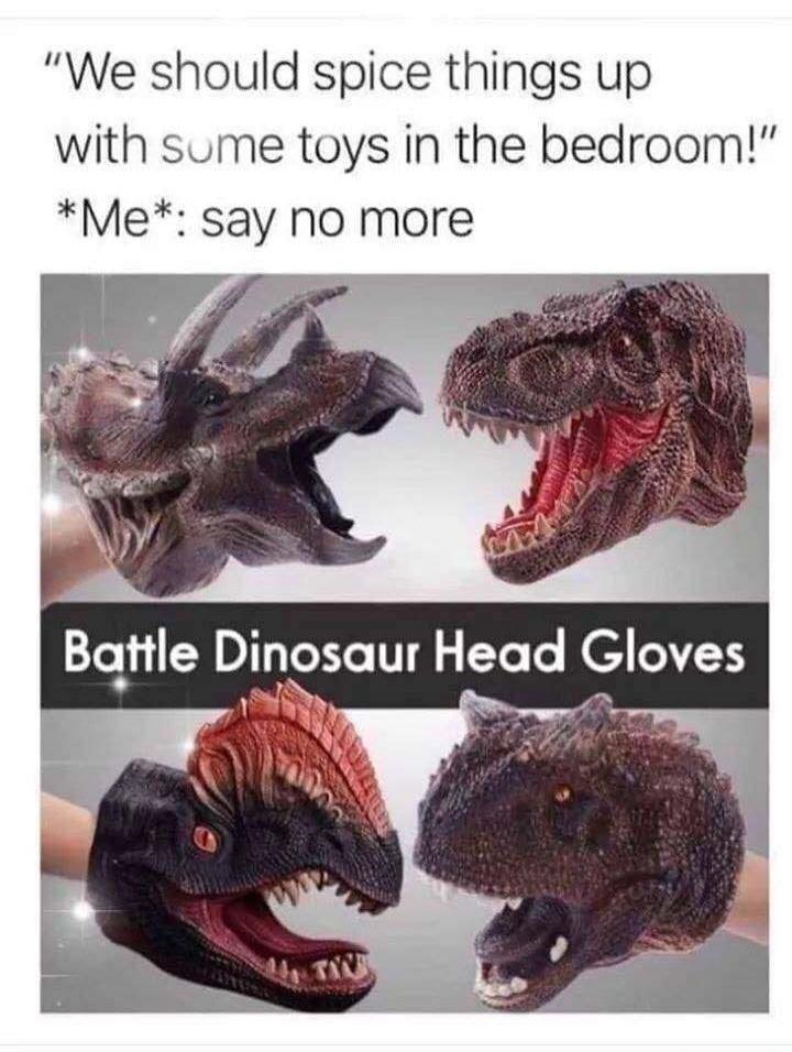 We should spice things up with some toys in the bedroom! Me: say no more. Battle Dinosaur Head Gloves