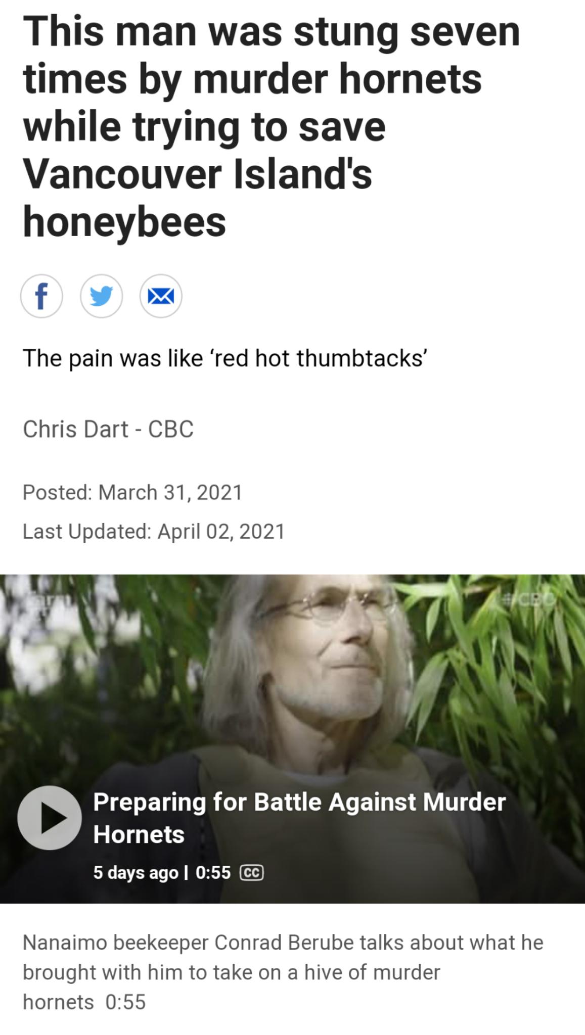 This man was stung seven times by murder hornets while trying to save Vancouver Islands honeybees f DL The pain was like red hot thumbtacks Chris Dart CBC Posted March 31 2021 Last Updated April 02 2021 Preparing for Battle Against Murder Hornets 5 days ago 055 c Nanaimo beekeeper Conrad Berube talks about what he brought with him to take on a hive of murder hornets 055