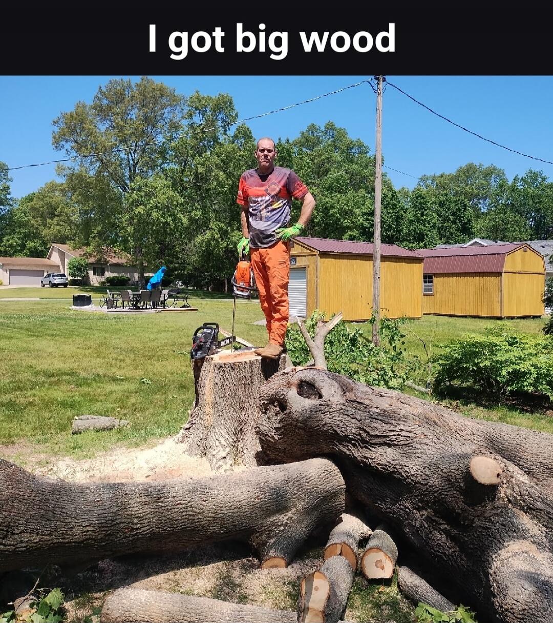 I got big wood