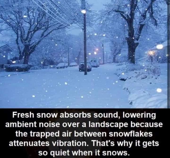 Fresh snow absorbs sound lowering ambient noise over a landscape because LUERET EL I T L G T E L ELCHITEICERYLTE LT M G ELERV R G 6 so quiet when it snows