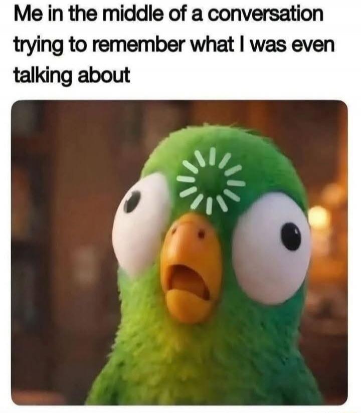 Me in the middle of a conversation trying to remember what I was even talking about