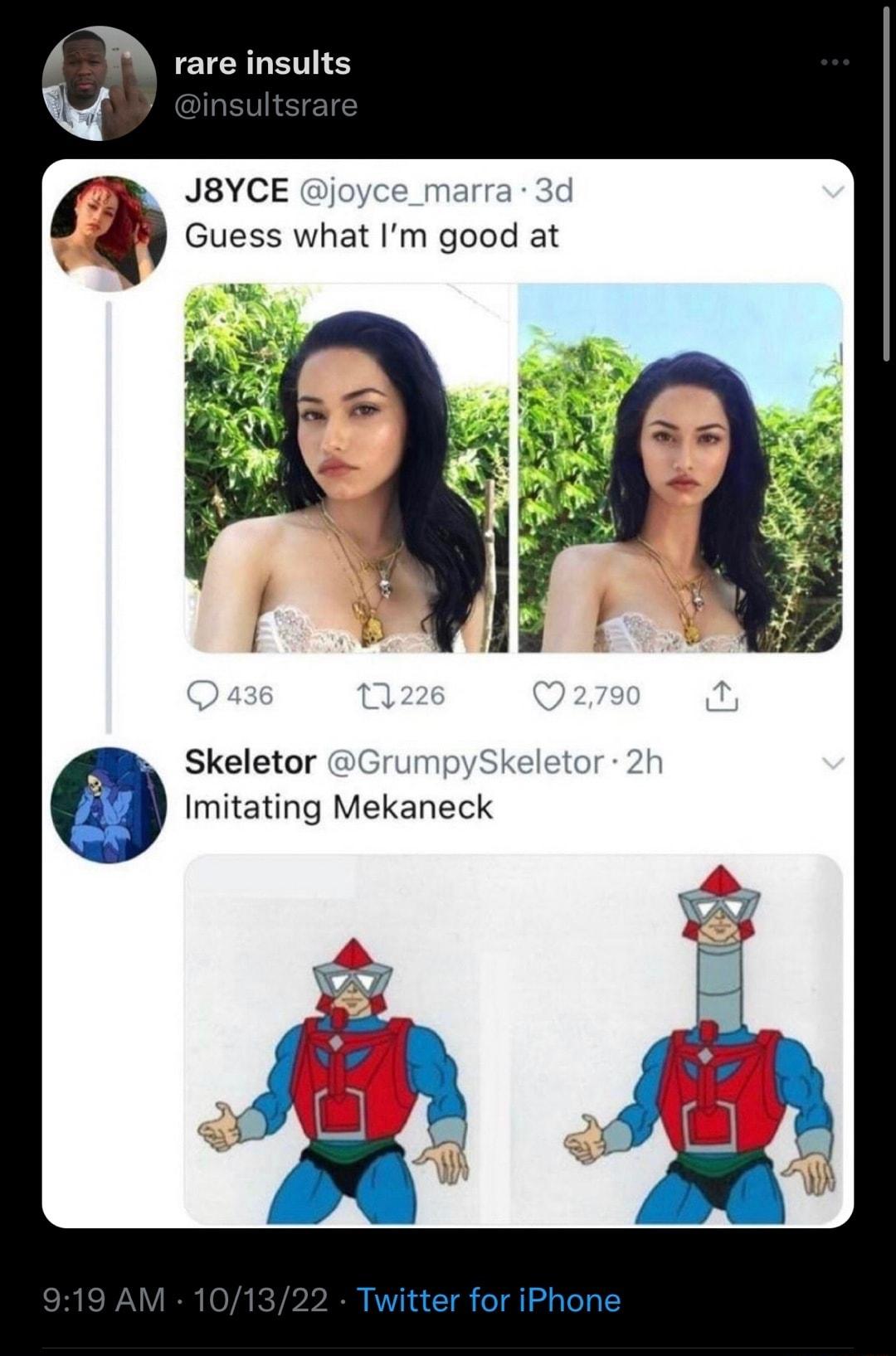 e Y JBYCE Guess what Im good at Skeletor T Imitating Mekaneck