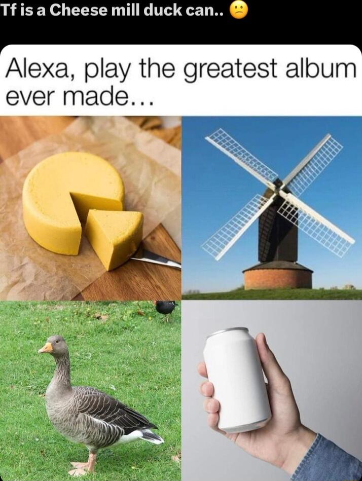 fis a Cheese mill duck can Alexa play the greatest aloum ever made