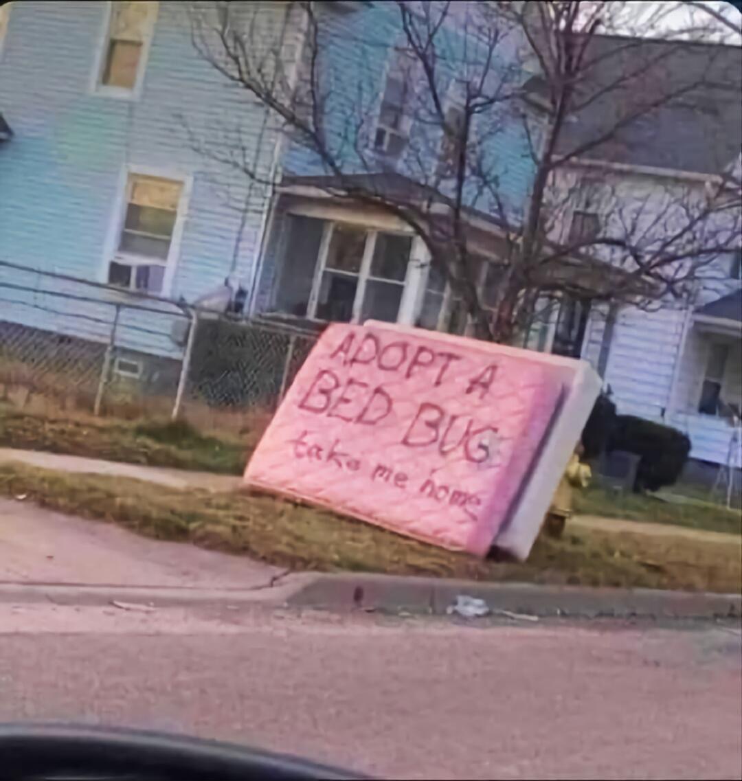 ADOPT A BED BUG take me home