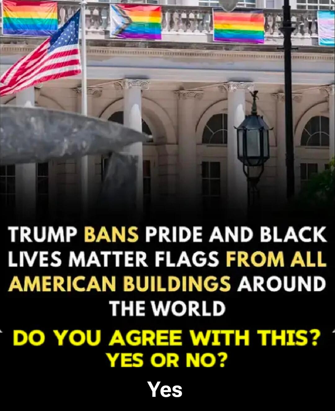 TRUMP BANS PRIDE AND BLACK LIVES MATTER FLAGS FROM ALL AMERICAN BUILDINGS AROUND THE WORLD DO YOU AGREE WITH THIS? YES OR NO? Yes