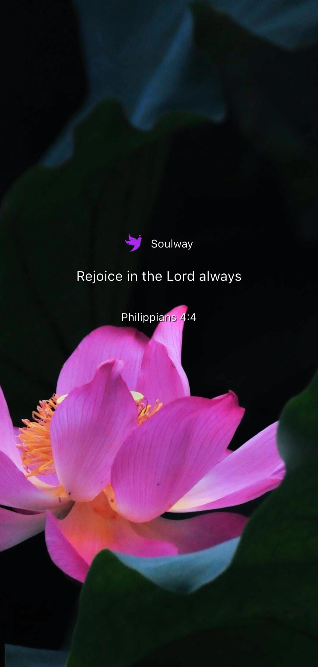Soulway Rejoice in the Lord always Philippians 4:4