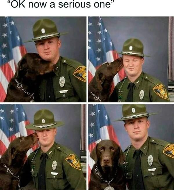 OK now a serious one