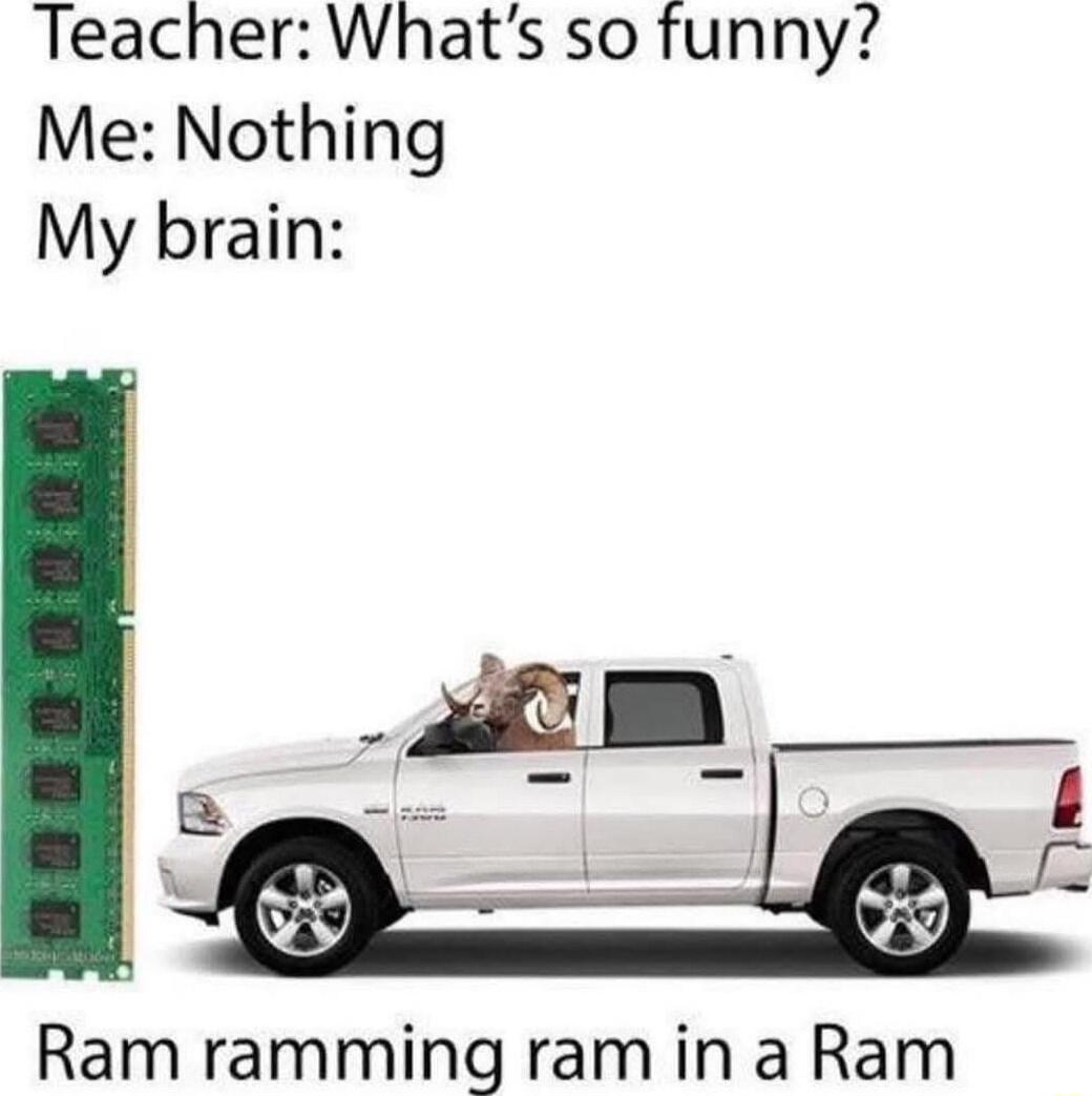 Teacher Whats so funny Me Nothing My brain Ram ramming ram in a Ram