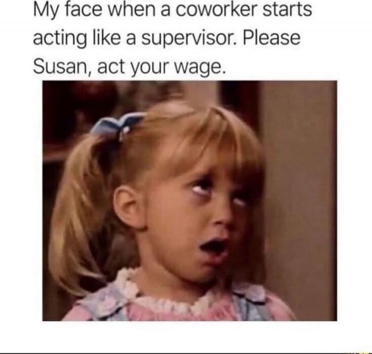 My face when a coworker starts acting like a supervisor. Please Susan, act your wage.