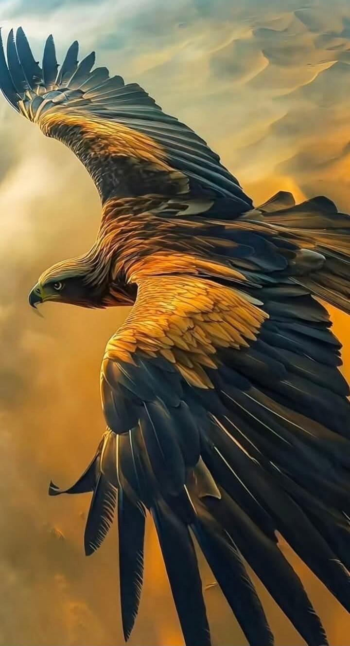 A golden eagle soaring with wings spread against a warm sunset.