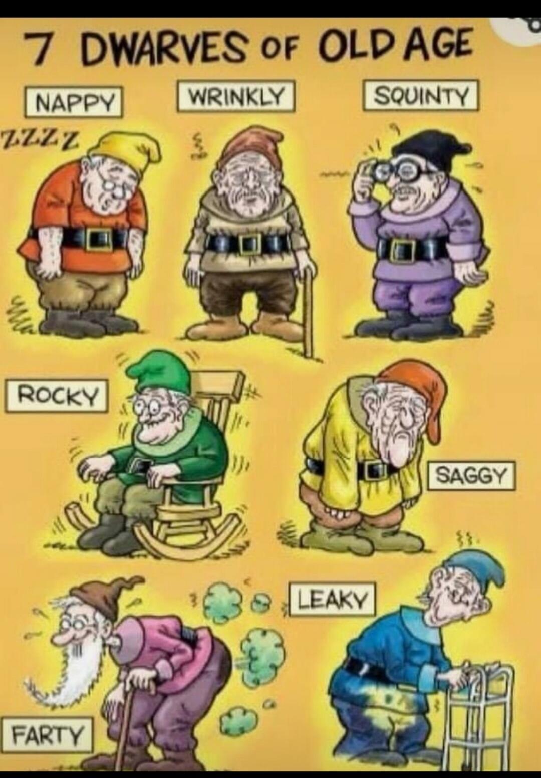 7 DWARVES OF OLD AGE NAPPY ZZZZ WRINKLY SQUINTY ROCKY SAGGY FARTY LEAKY