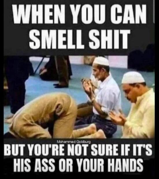 WHEN YOU CAN SMELL SHIT BUT YOU'RE NOT SURE IF IT'S HIS ASS OR YOUR HANDS Mohammed Goldburg