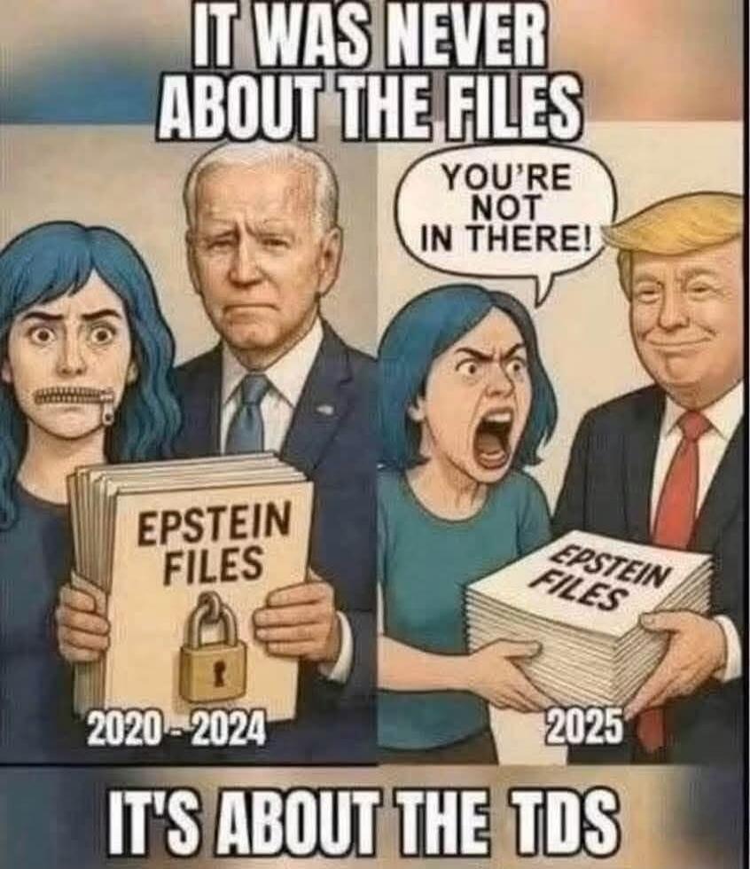 IT WAS NEVER ABOUT THE FILES. YOU'RE NOT IN THERE! EPSTEIN FILES. 2020-2024. 2025. IT'S ABOUT THE TDS.
