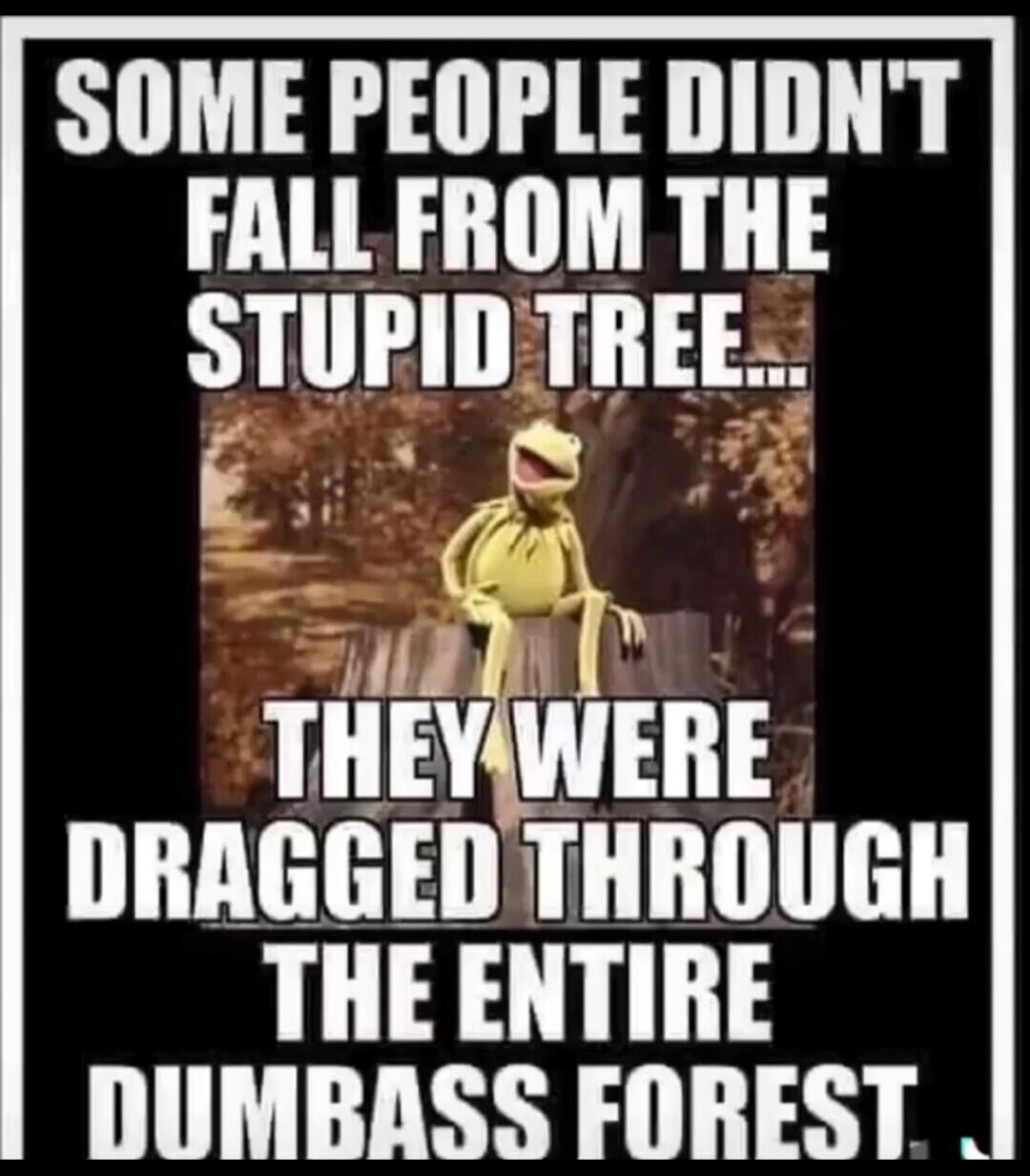 SOME PEOPLE DIDN'T FALL FROM THE STUPID TREE... THEY WERE DRAGGED THROUGH THE ENTIRE DUMBASS FOREST.