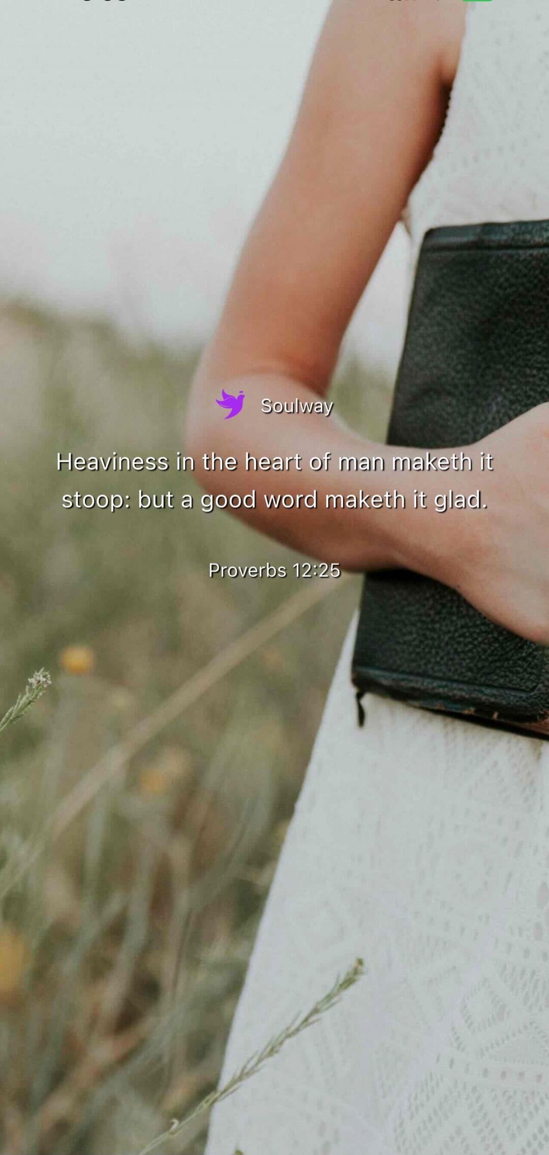 Soulway. Heaviness in the heart of man maketh it stoop: but a good word maketh it glad. Proverbs 12:25