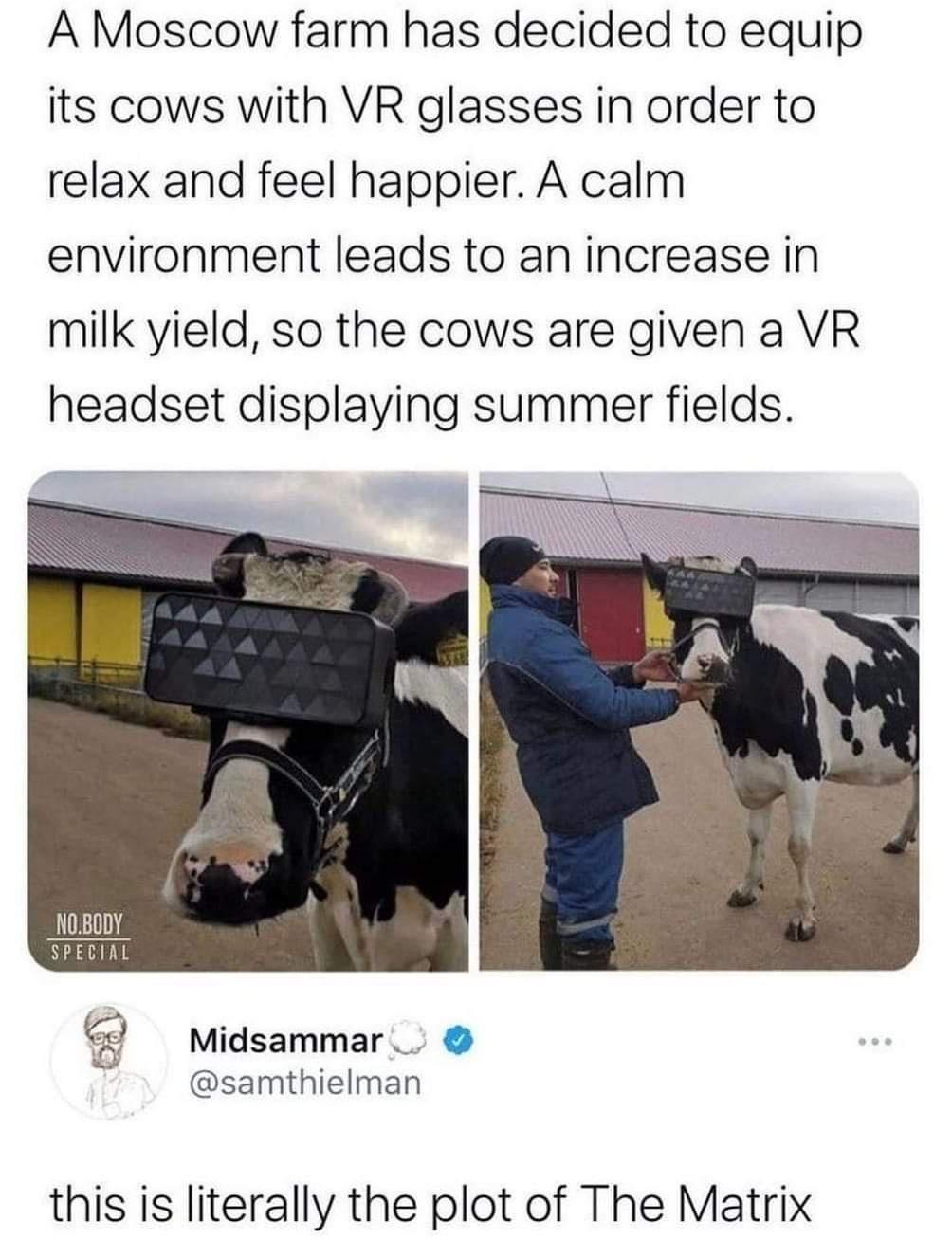 A Moscow farm has decided to equip its cows with VR glasses in order to relax and feel happier A calm environment leads to an increase in milk yield so the cows are given a VR headset displaying summer fields NOBODY SPECIAL Midsammar samthielman this is literally the plot of The Matrix