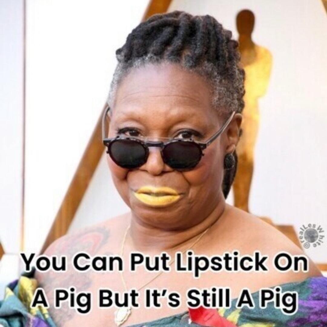 You Can Put Lipstick Pig ButIts Stllyw