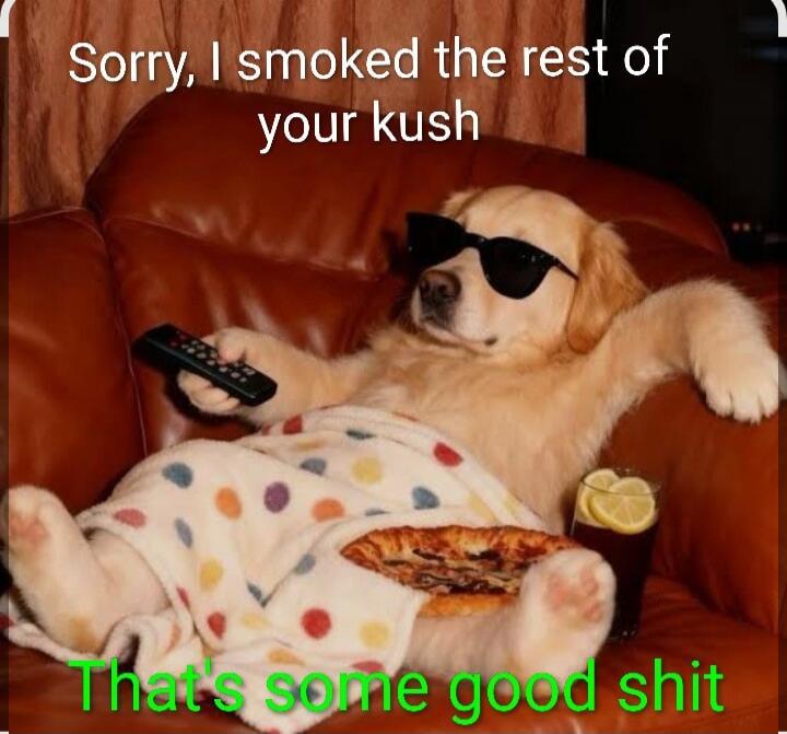 Sorry, I smoked the rest of your kush. That's some good shit.