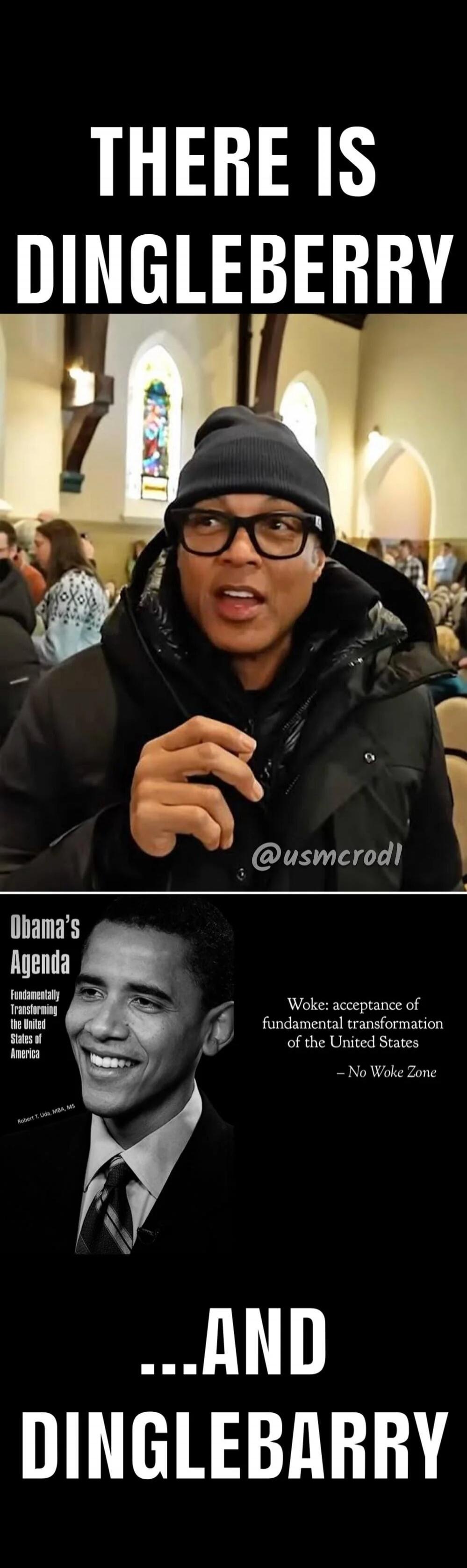 THERE IS DINGLEBERRY ... AND DINGLEBARRY

Obama's Agenda
Fundamentally Transforming the United States of America
Woke: acceptance of fundamental transformation of the United States — No Woke Zone

