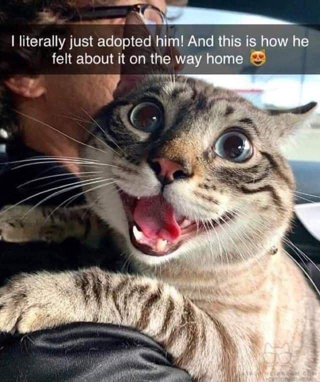 _ INCTEUATVE e lelol o Rallys 1WAV o R 3T EREN To VA 1 felt about it on the way home