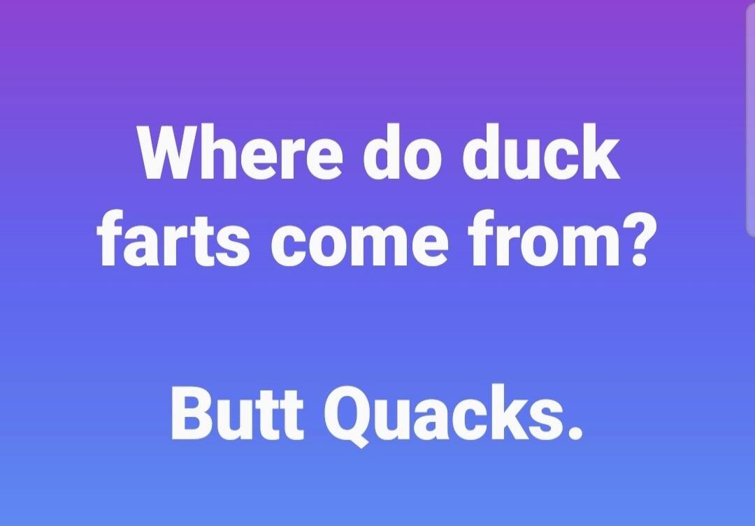 Where do duck farts come from? Butt Quacks.
