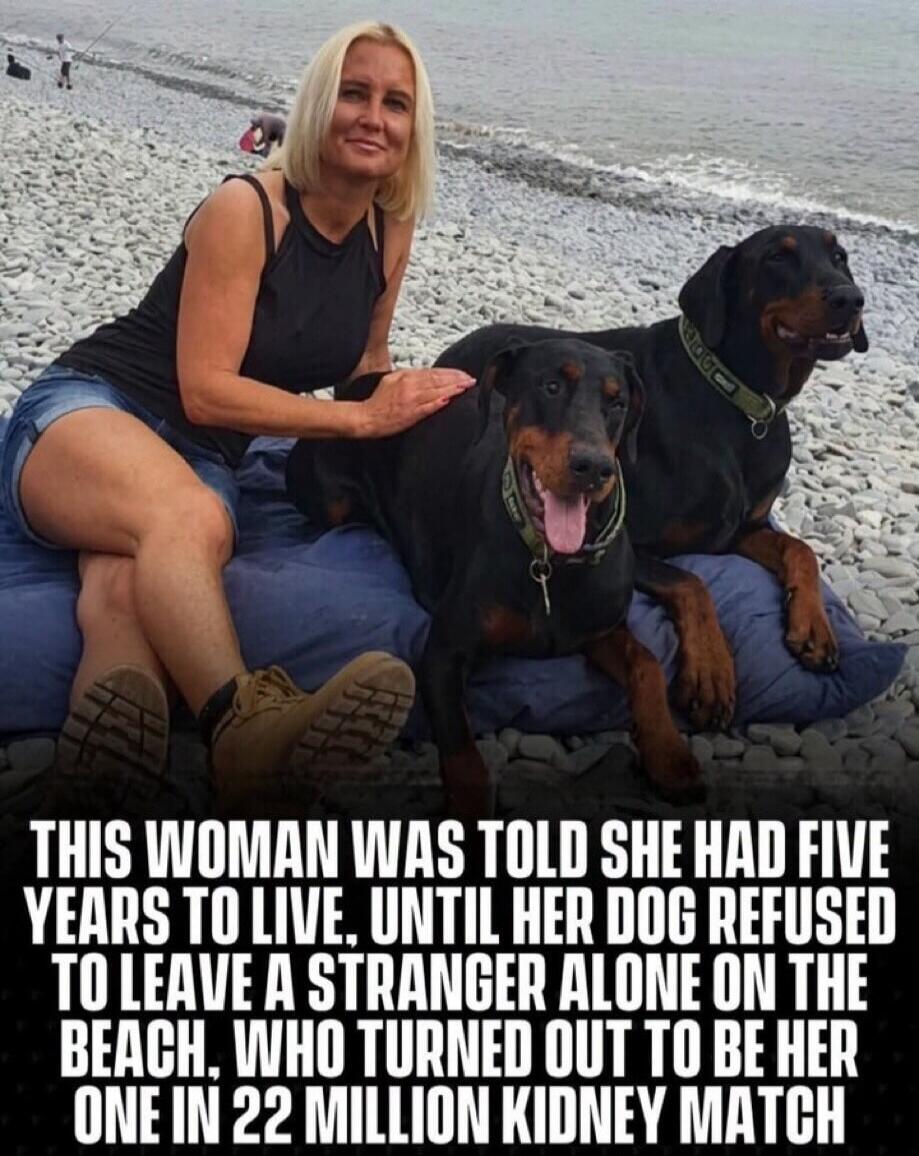 THIS WOMAN WAS TOLD SHE HAD FIVE YEARS TO LIVE, UNTIL HER DOG REFUSED TO LEAVE A STRANGER ALONE ON THE BEACH, WHO TURNED OUT TO BE HER ONE IN 22 MILLION KIDNEY MATCH