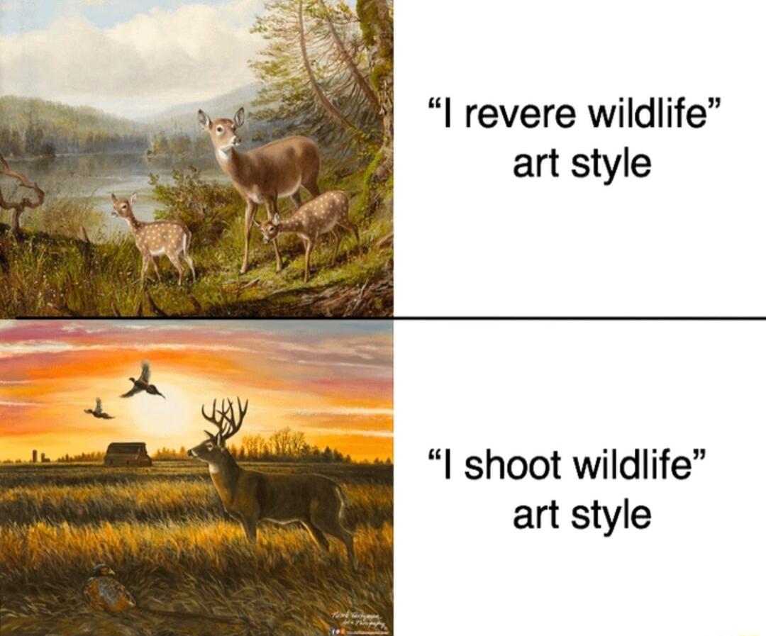 I revere wildlife art style I shoot wildlife art style