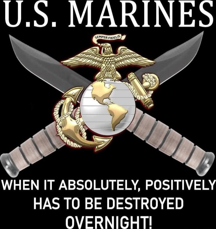 U.S. MARINES
WHEN IT ABSOLUTELY, POSITIVELY HAS TO BE DESTROYED OVERNIGHT!