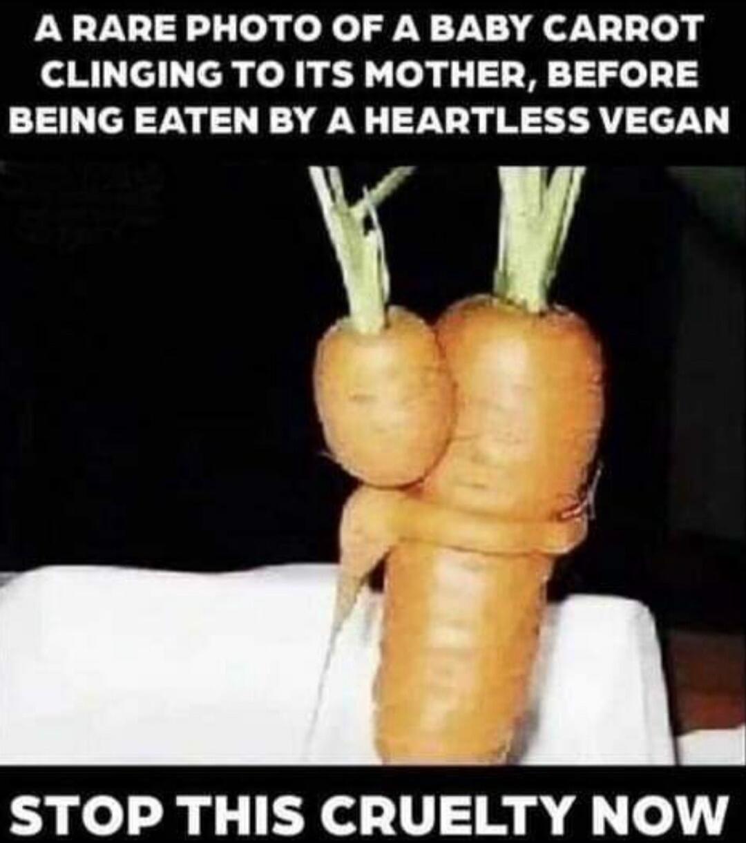 A RARE PHOTO OF A BABY CARROT CLINGING TO ITS MOTHER, BEFORE BEING EATEN BY A HEARTLESS VEGAN. STOP THIS CRUELTY NOW