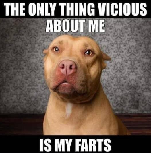 THE ONLY THING VICIOUS ABOUT ME IS MY FARTS