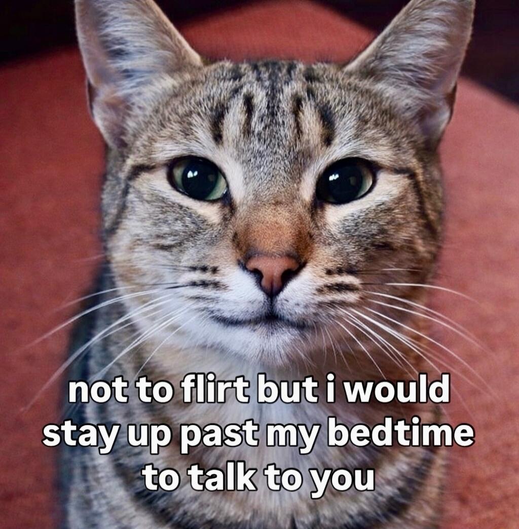 not to flirt but i would stay up past my bedtime to talk to you