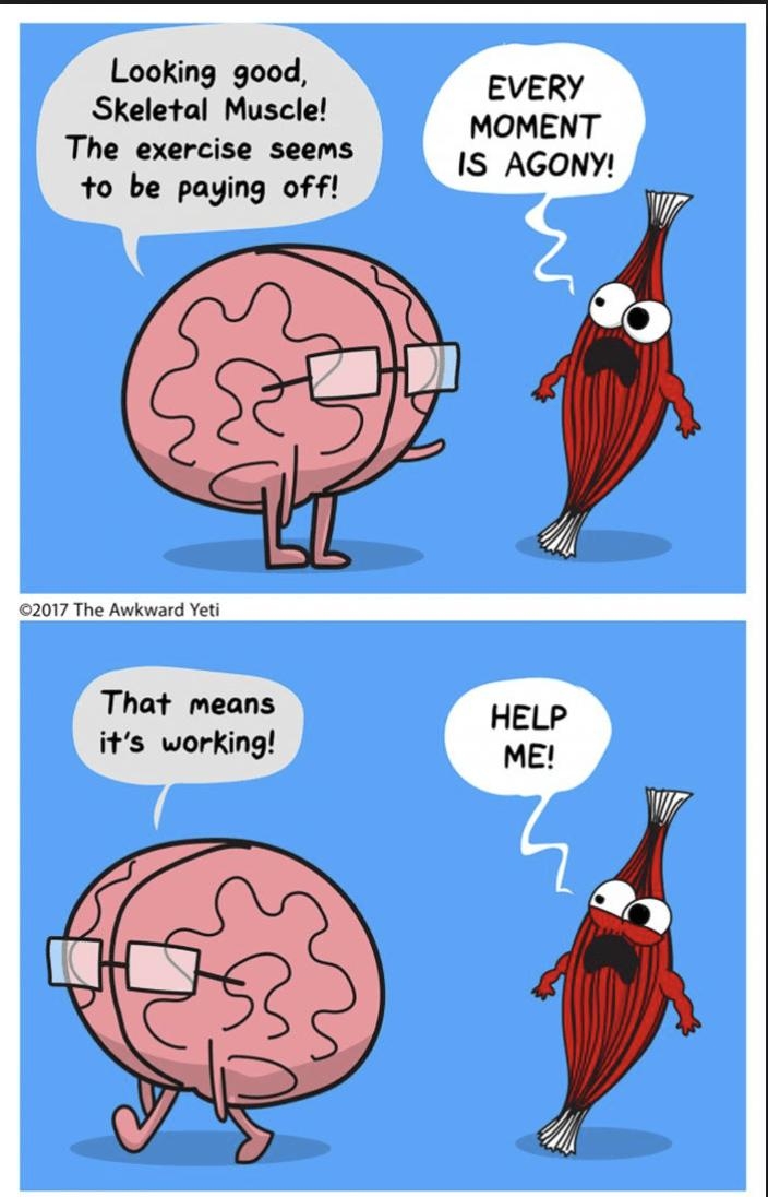 Looking good Skeletal Muscle EVERY o MOMENT The exercise seems 1S AGONY to be paying off 3 2017 The Awkward Yeti