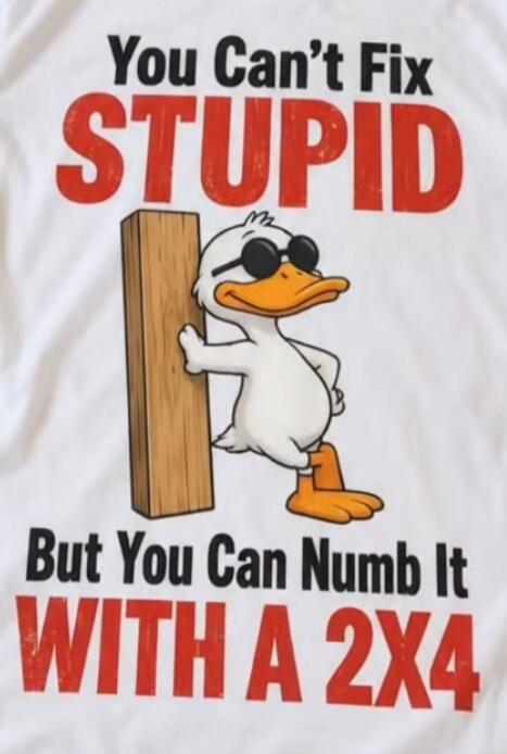 You Can't Fix STUPID But You Can Numb It WITH A 2X4