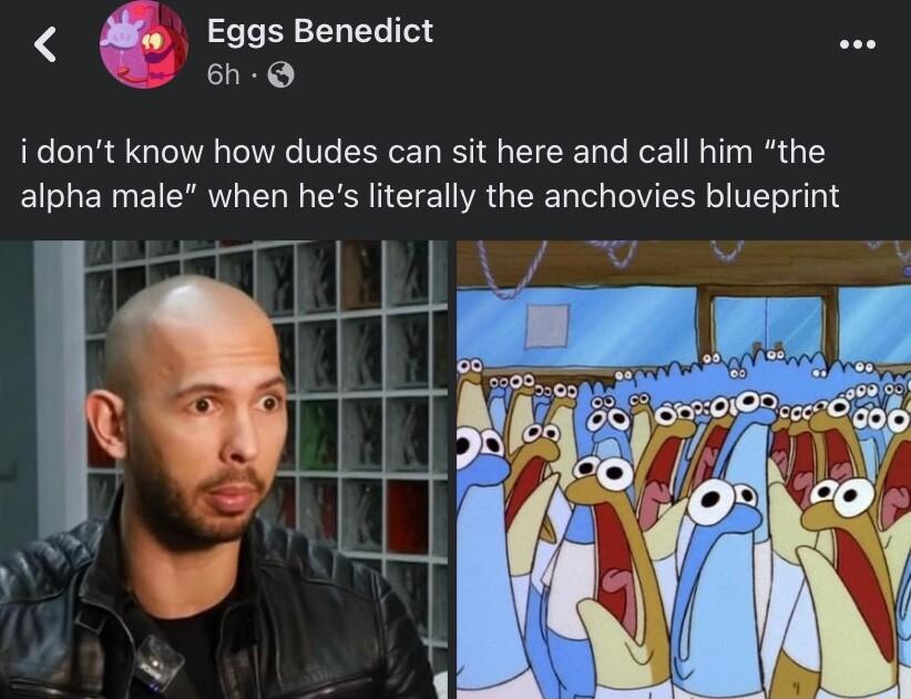 EggsBenedlct i dont know how dudes can sit here and call him the alpha male when hes literally the anchovies blueprint