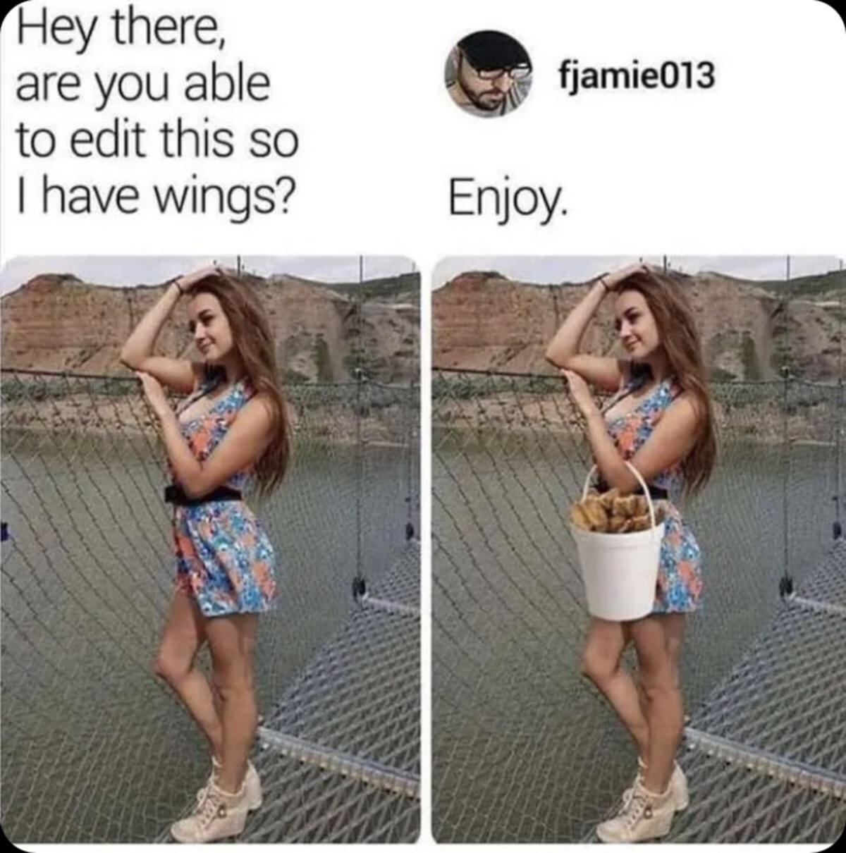 are you able to edit this so have wings
